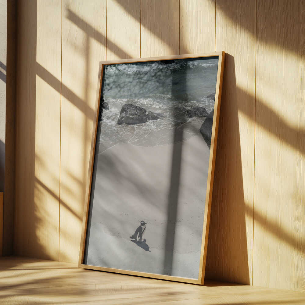 Lonely Beach Stroll Poster