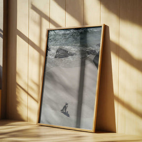 Lonely Beach Stroll Poster