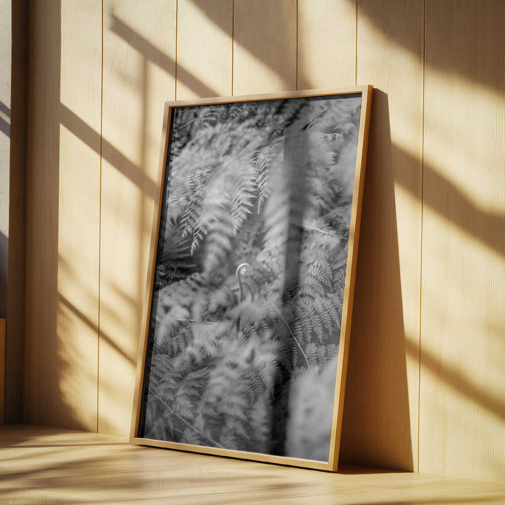 Black And White Photograph Poster