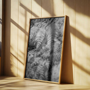 Black And White Photograph Poster