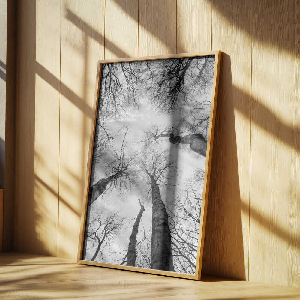 Reaching Branches Poster