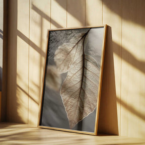 Ethereal Leaves Poster
