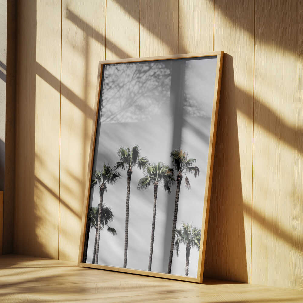 Palm Trees 5 Poster