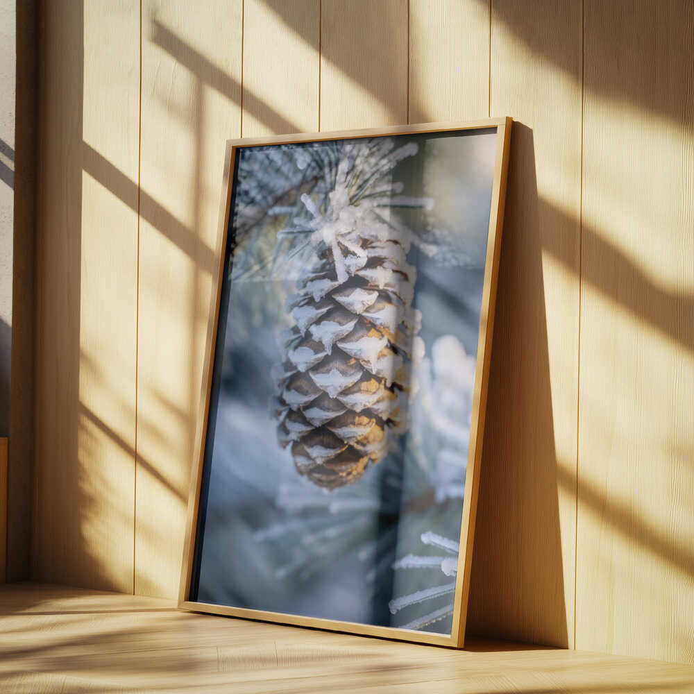 Frosty Pinecone Burst Poster