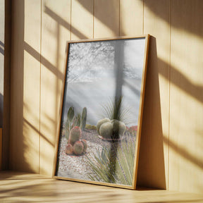 Botanical Garden Poster