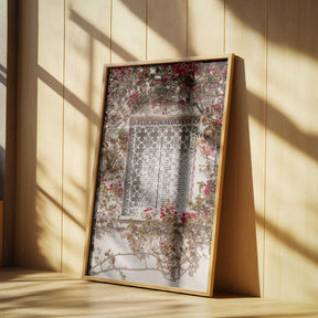 The Red Frame Poster