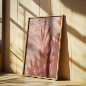 Shadows Poster