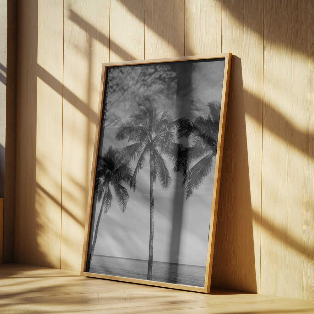 Hawaiian Palms IV Poster