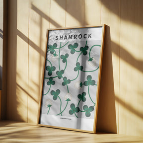 Shamrock - National flower of Ireland Poster