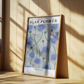 Flax flower - National flower of Ireland Poster