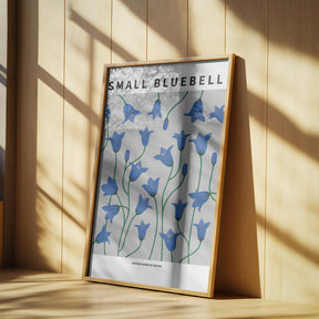 Small Bluebell - National flower of Sweden Poster