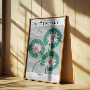 Water Lily - National flower of Iran Poster
