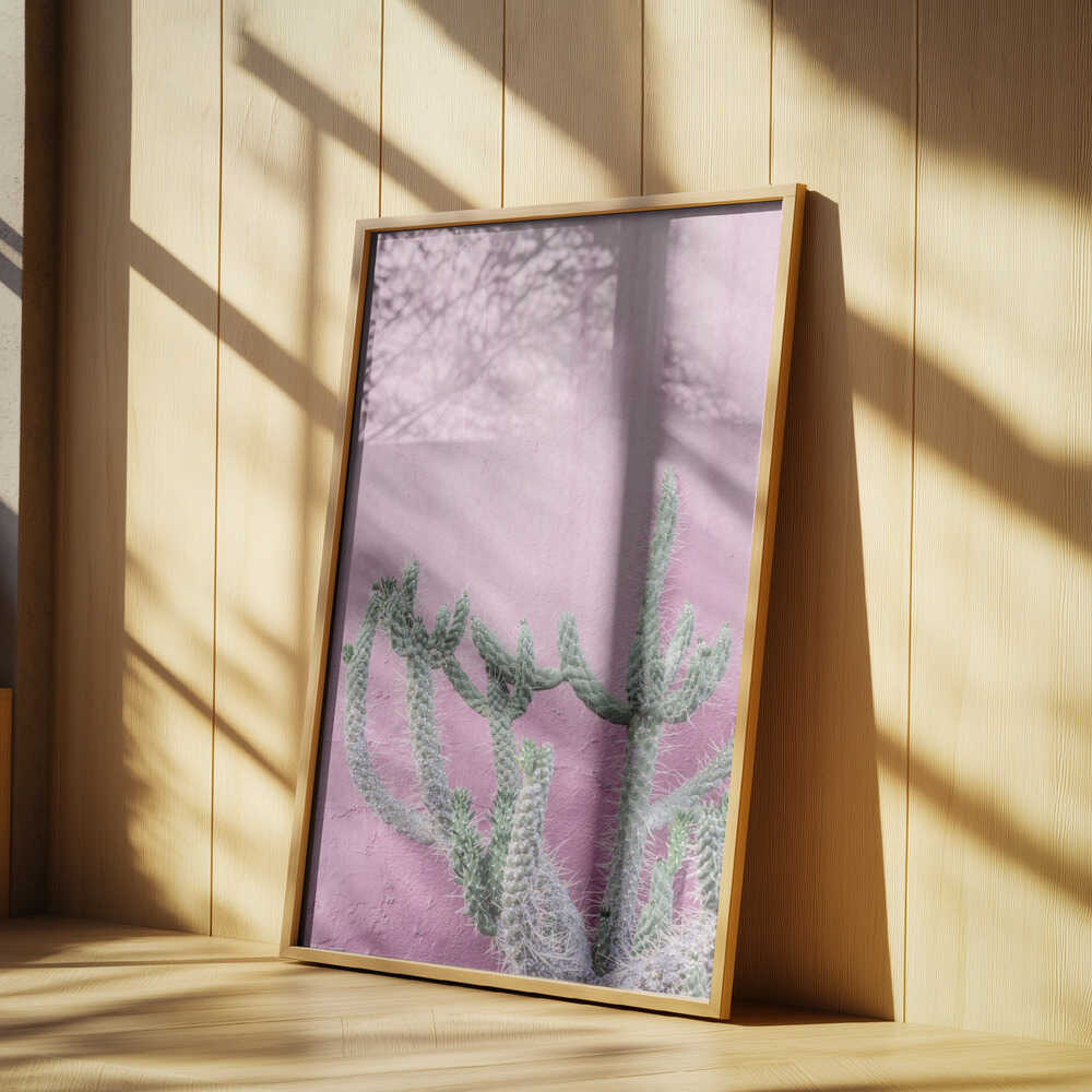 Cactus On Pink Poster