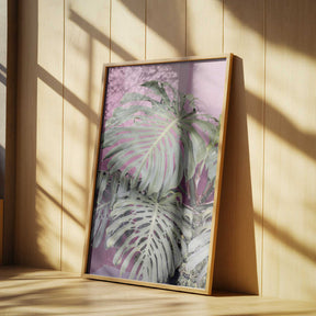 Monstera leaf La Muralla Poster
