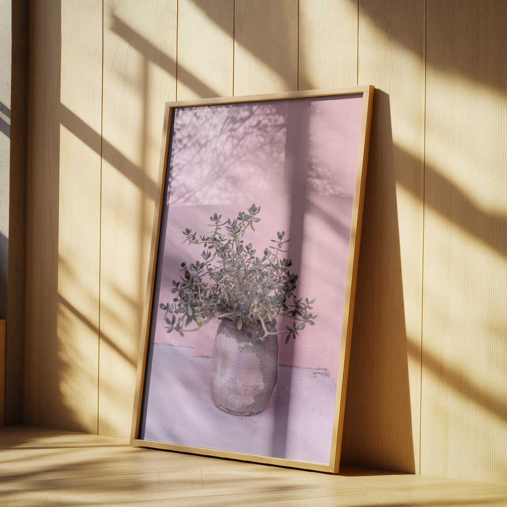 Spanish Rustic Succulent Poster
