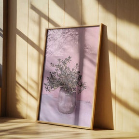 Spanish Rustic Succulent Poster