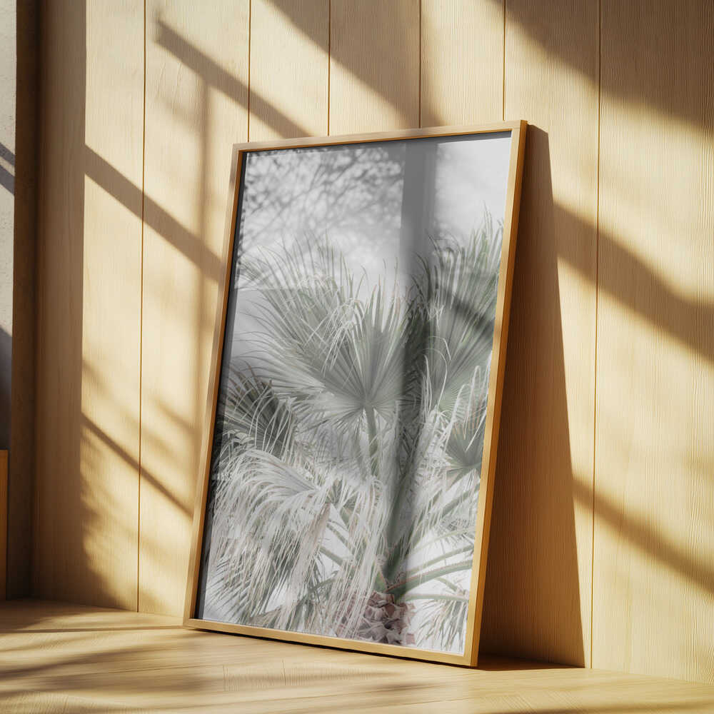 Palm Leaf Poster