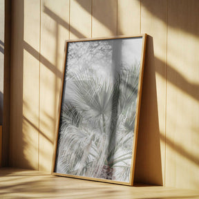 Palm Leaf Poster
