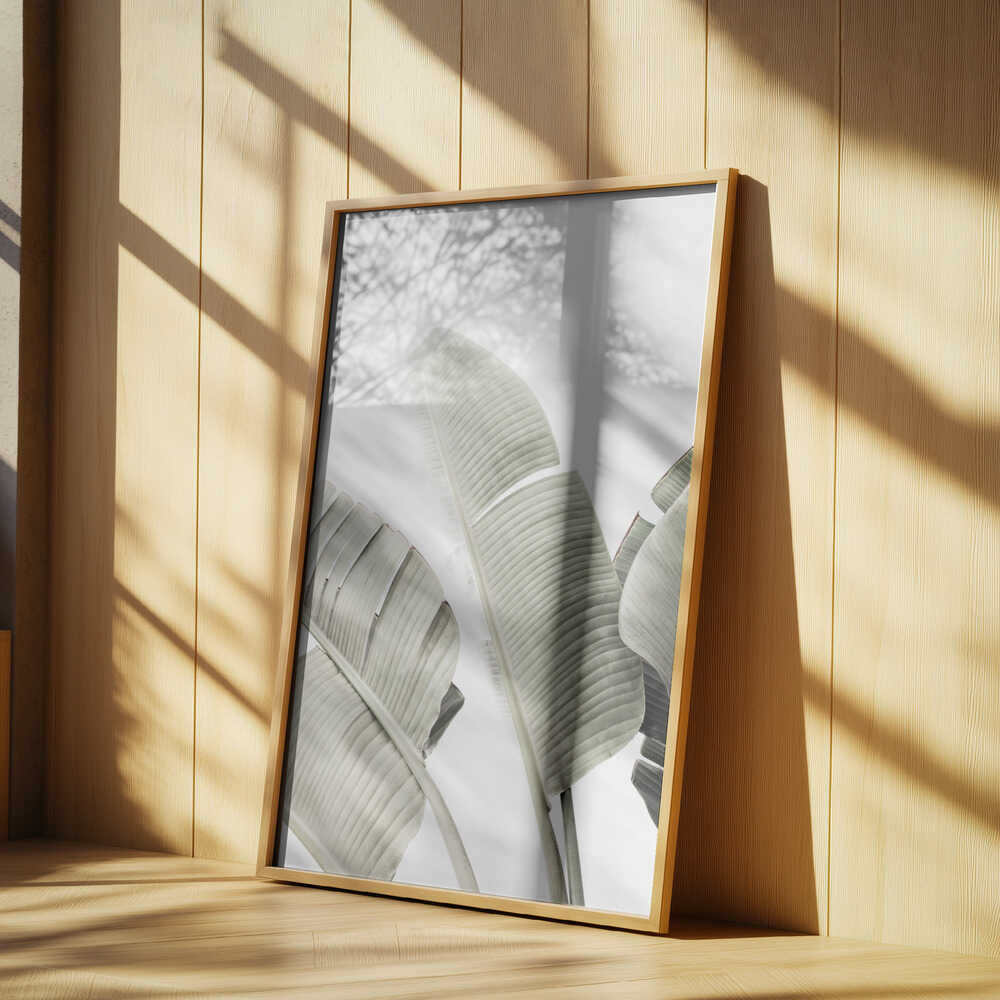 Banana leaf 1 Poster
