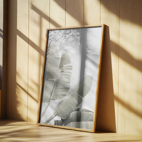 Banana leaf 2 Poster