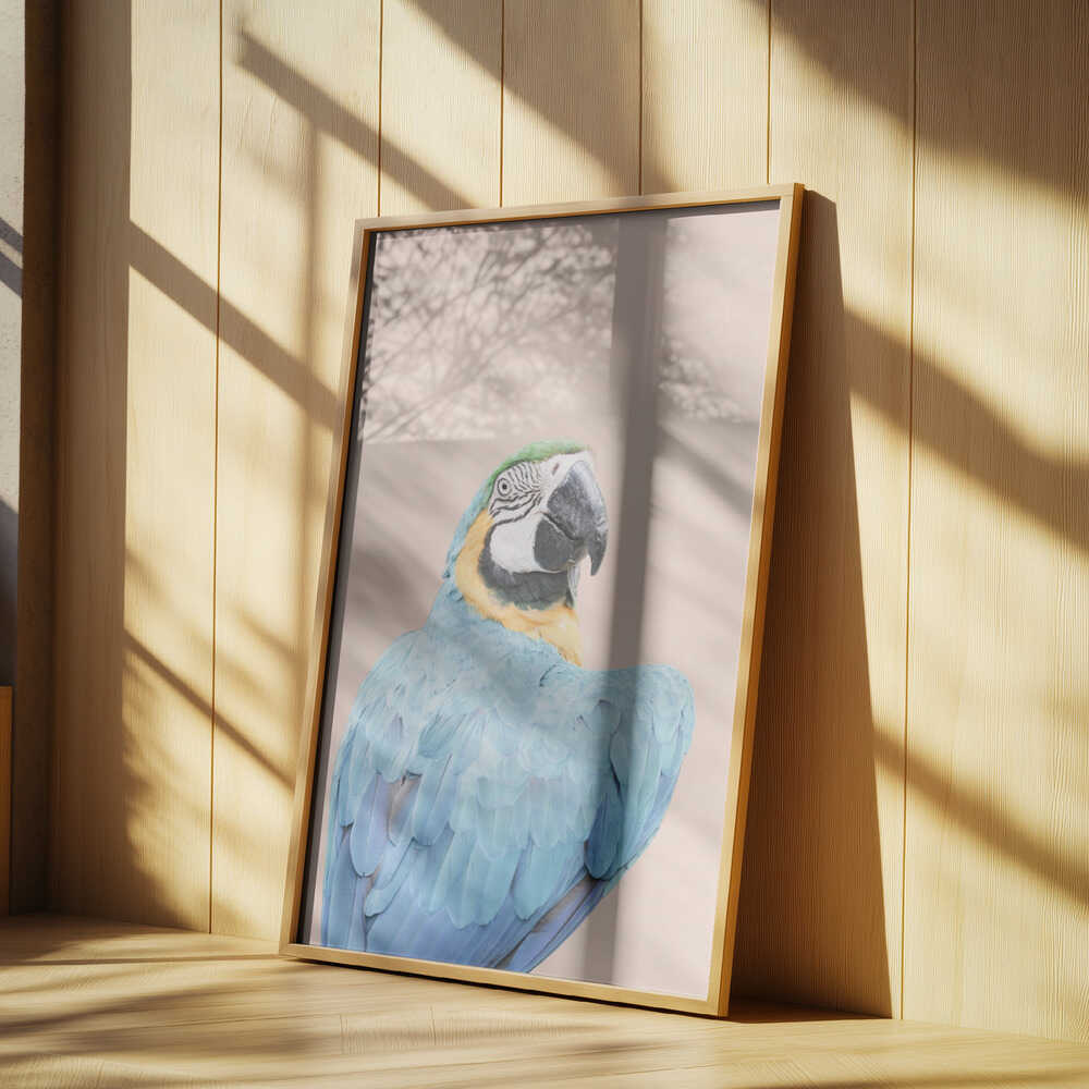 Blue Macaw Poster