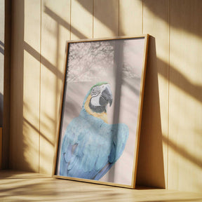 Blue Macaw Poster