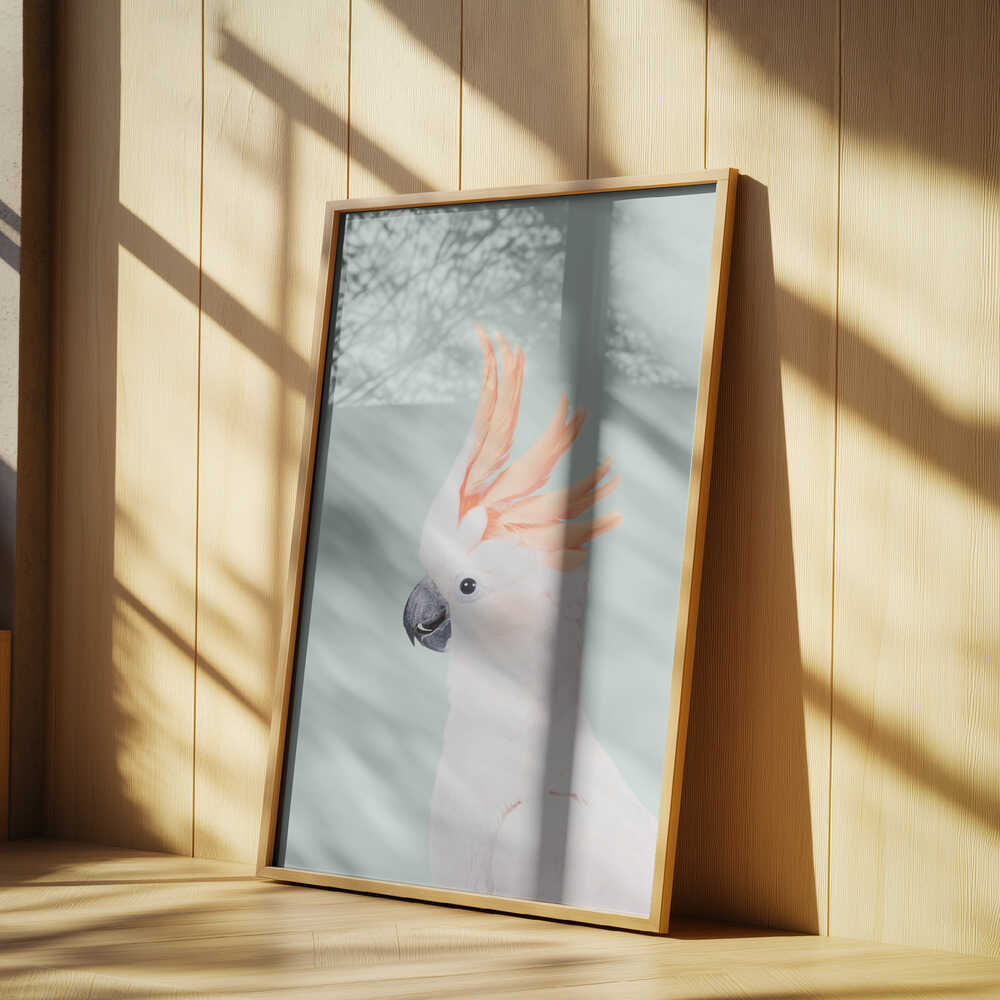 Cockatoo on Mint Poster