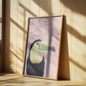 Toucan on Pink Poster