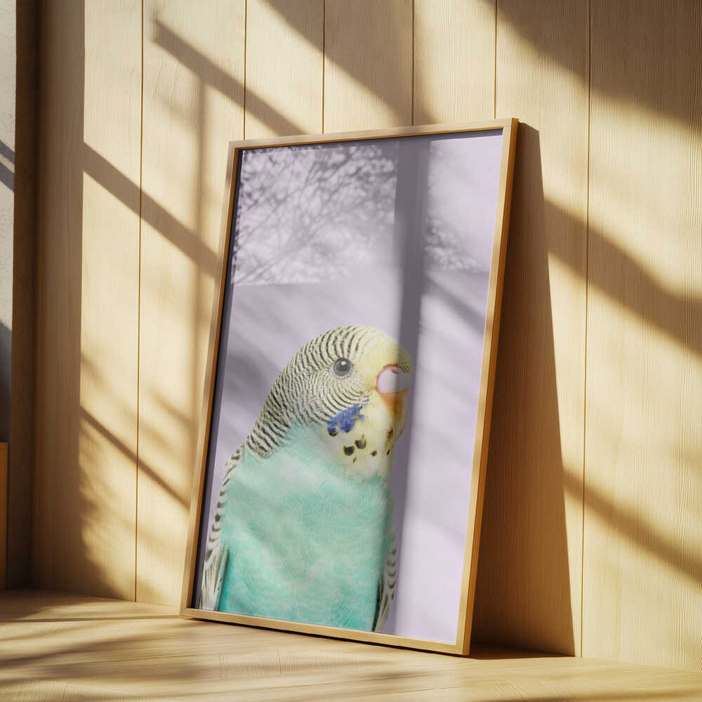 Badgie Poster