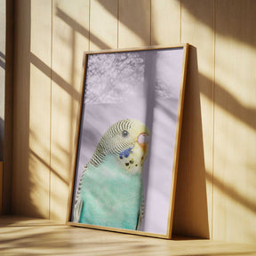 Badgie Poster