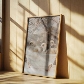 Bubbly Ostrich Trio Poster