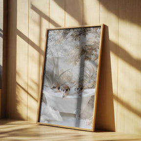 Meerkat Bath Trio Poster