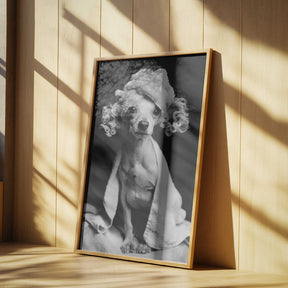 Spa Day Pooch Poster