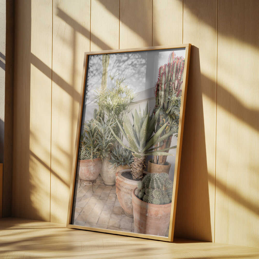 Garden with Various Potted Succulents and Cacti Poster