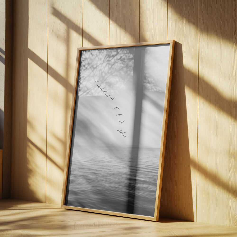 Flying Birds Poster
