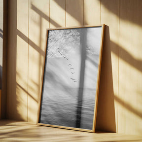 Flying Birds Poster