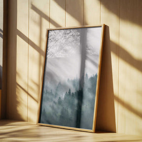 Forest Poster