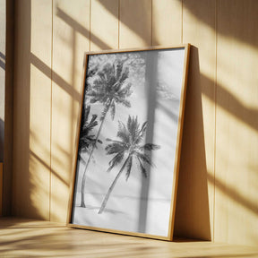 Island Poster