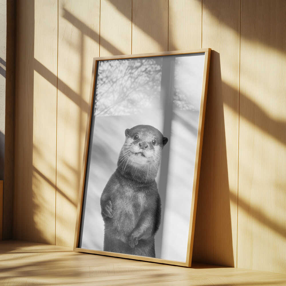 Otter Poster