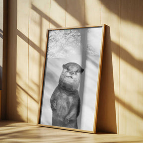Otter Poster
