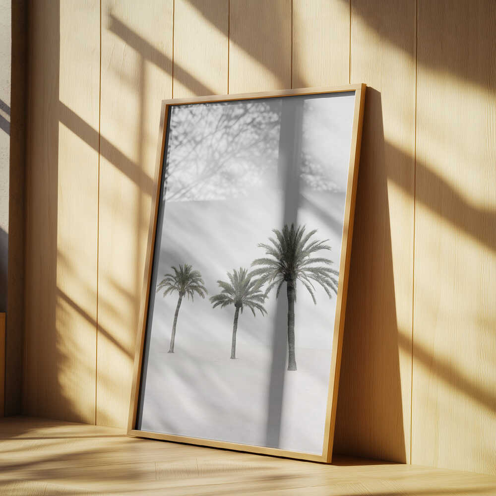 Palms Poster