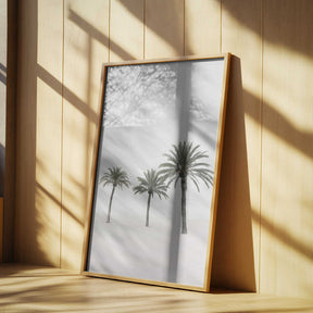 Palms Poster