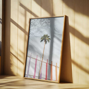 Palm Spring Colors 2 Poster