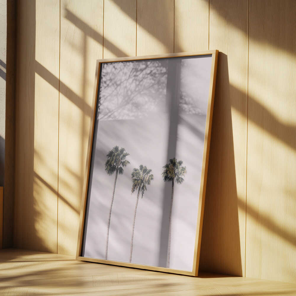 Palms On Pink Poster