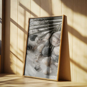 Shell stories no 03 Poster