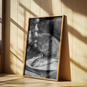 Curious Catch Poster