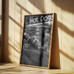 Hot Dog Dreams Poster