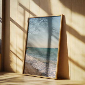 Nice France IV on Film Poster