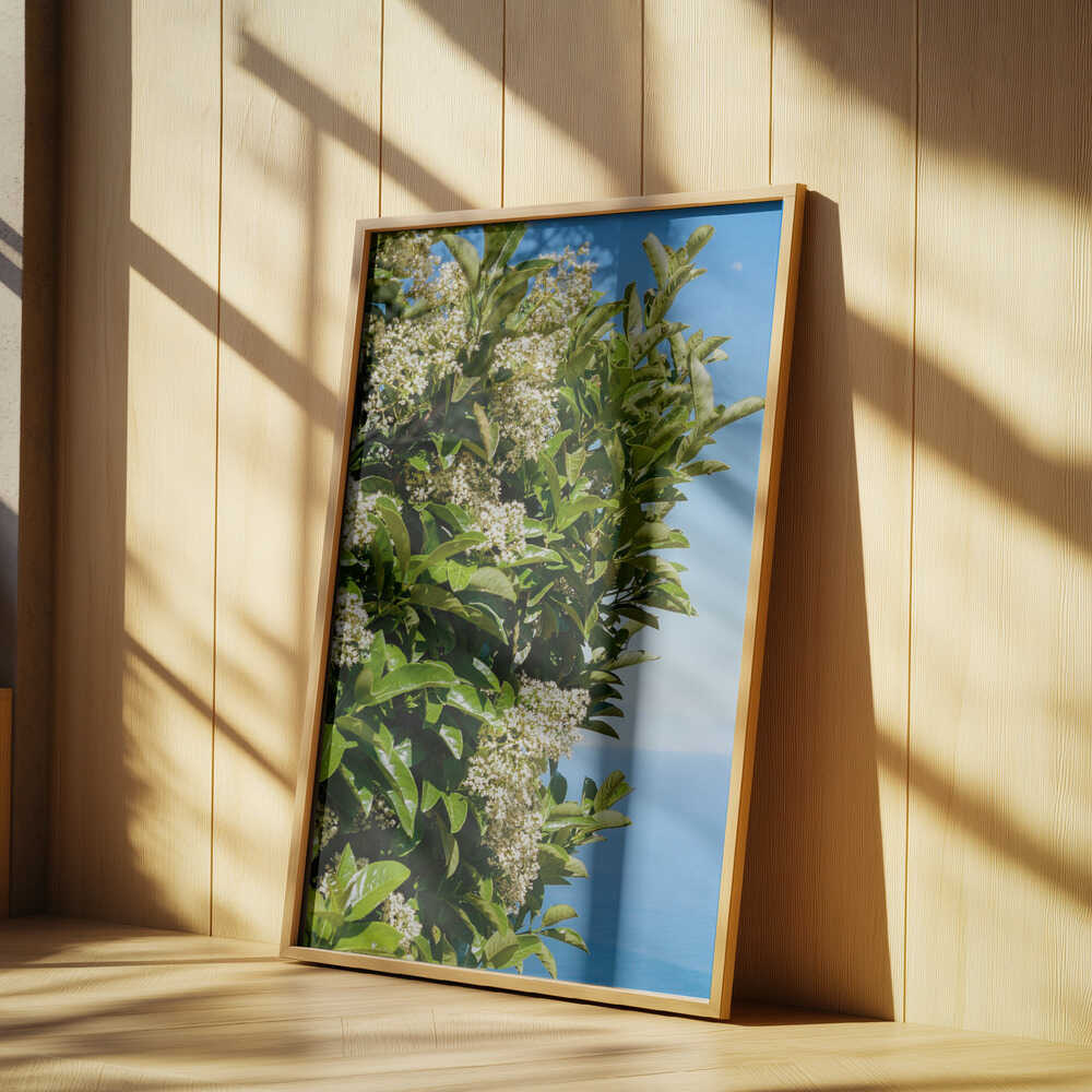 Amalfi Coast Flowers IV on Film Poster