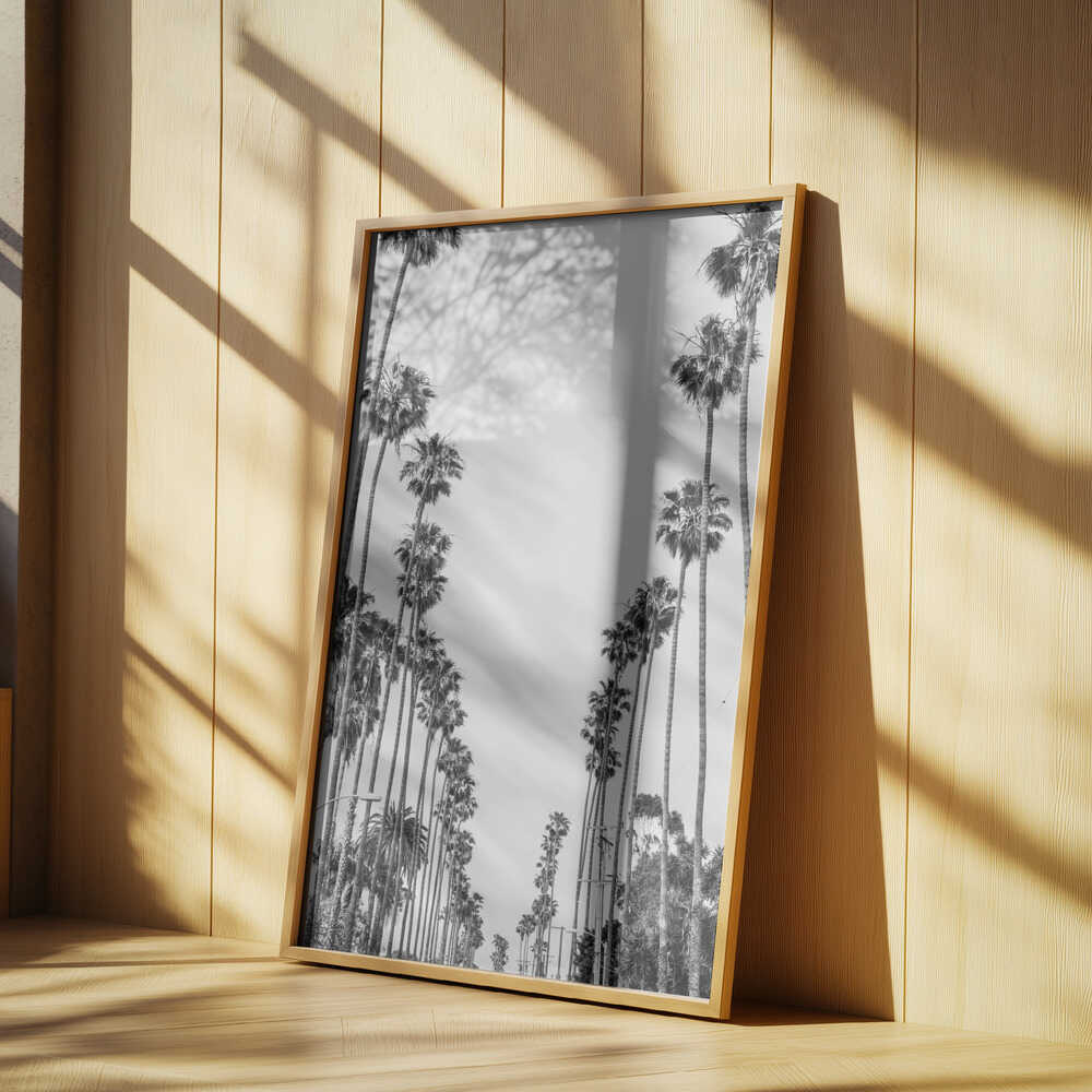 Palm Alley Poster